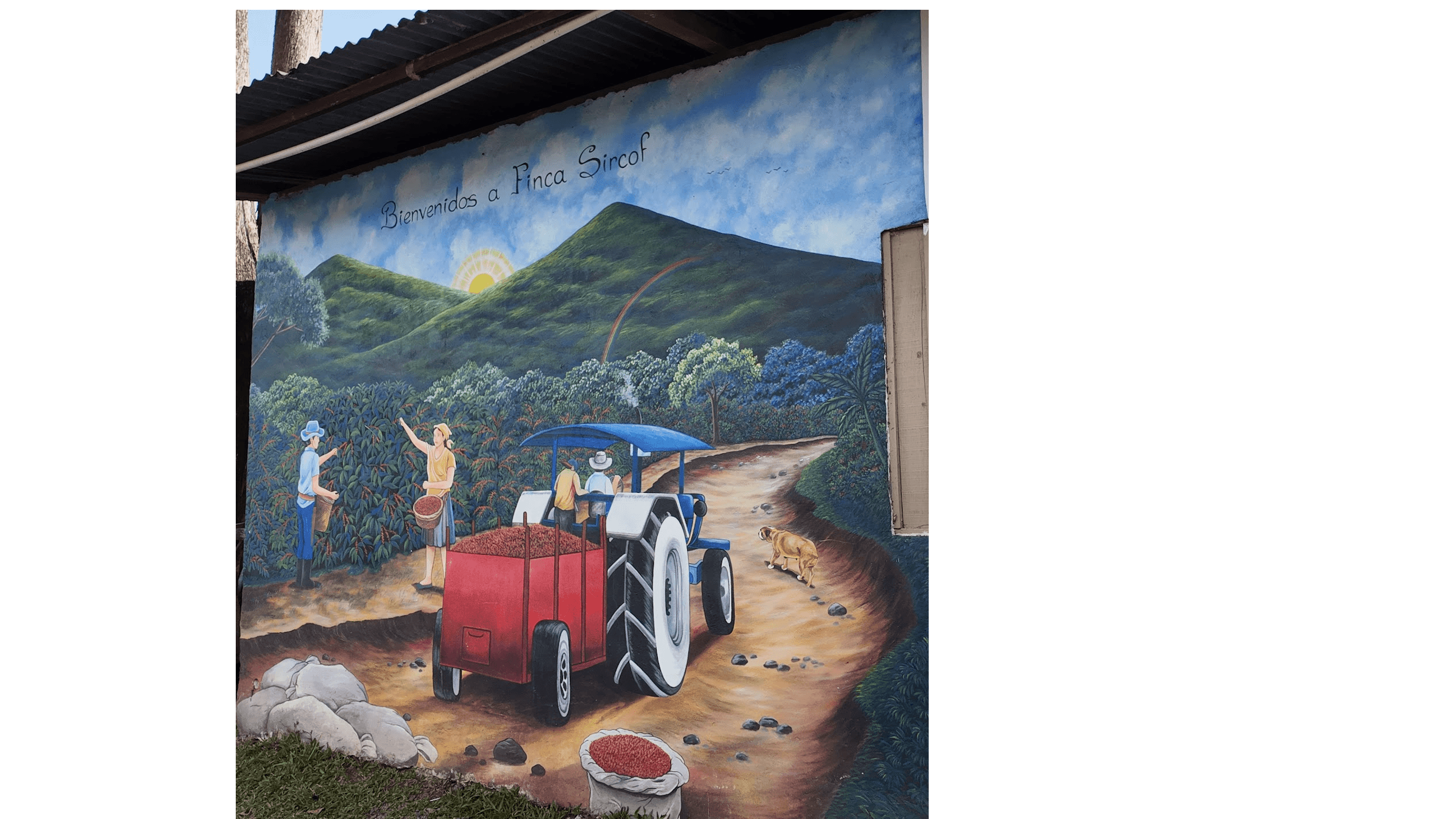 Costa Rica Finca Sircof | Limited Release