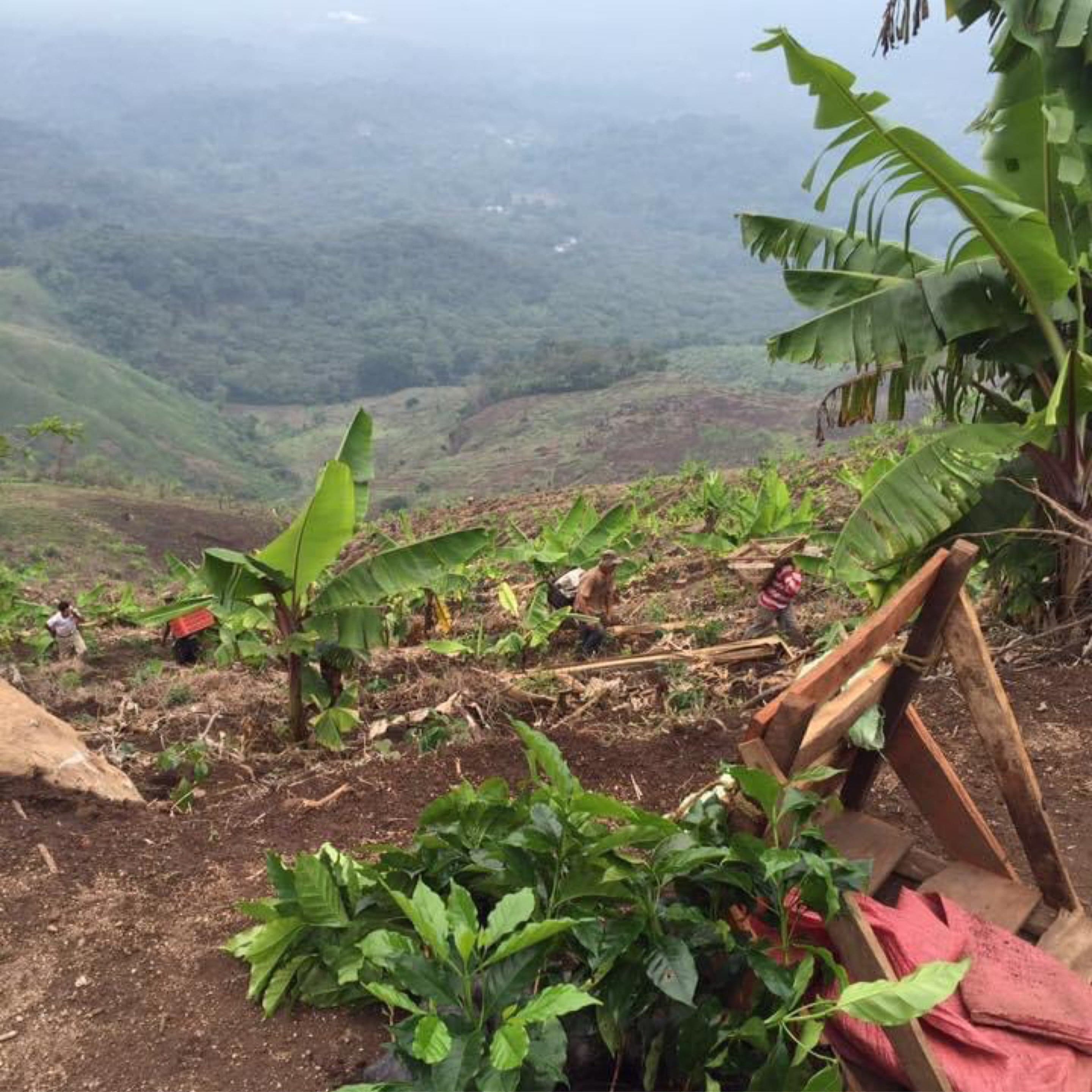 Guatemala San Luis El Volcanito Retail