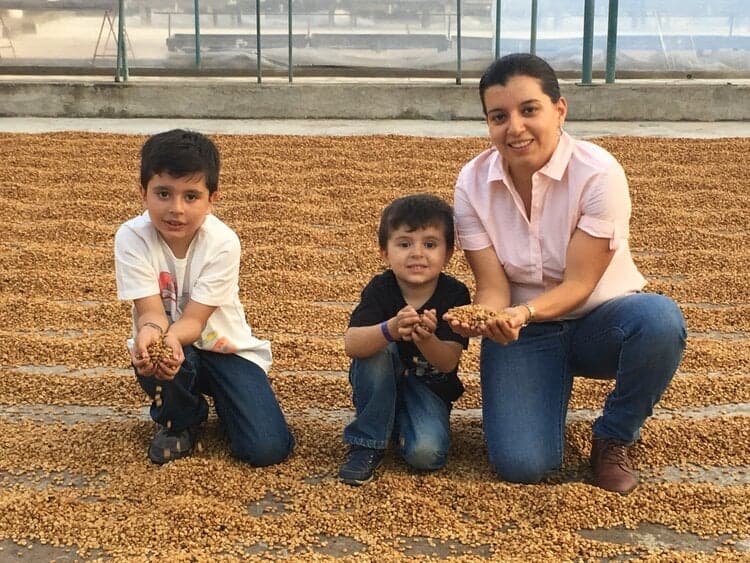 Costa Rica Cloza Farms Peaberry