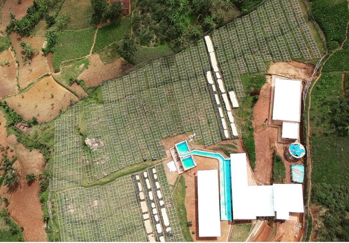 Rwanda Shangi Hills