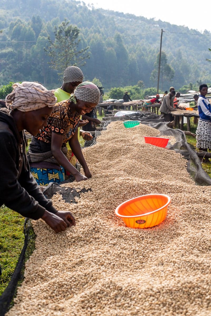 Burundi Businde Honey
