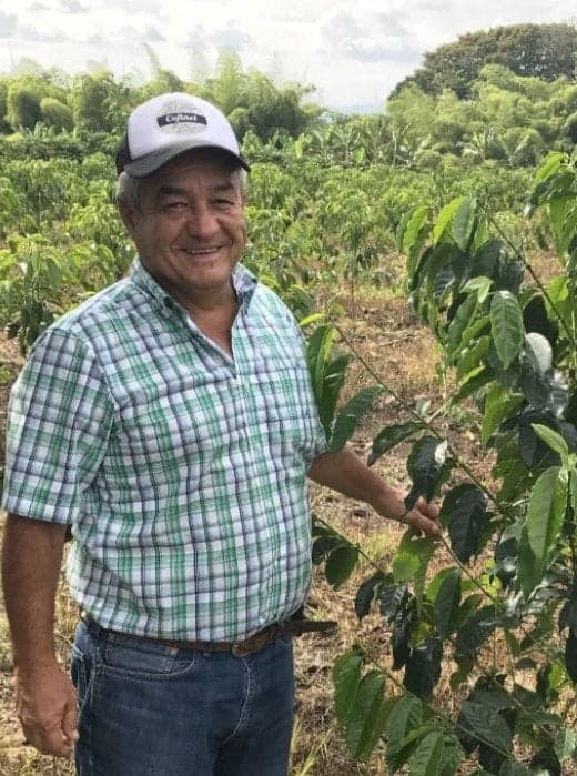 Colombia Santa Monica Lulo Coferment