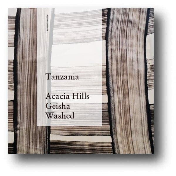TZA Acacia Hills Geisha