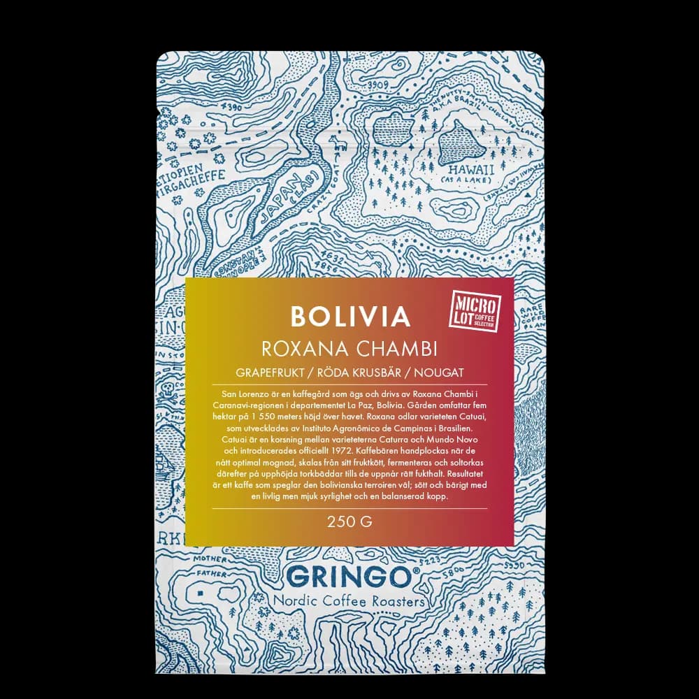 Bolivia Roxana Chambi