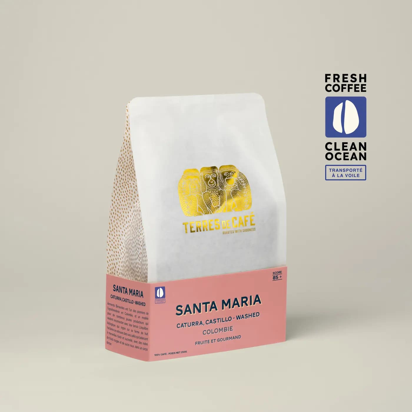 Coffee Finca Santa Maria Caturra - Washed