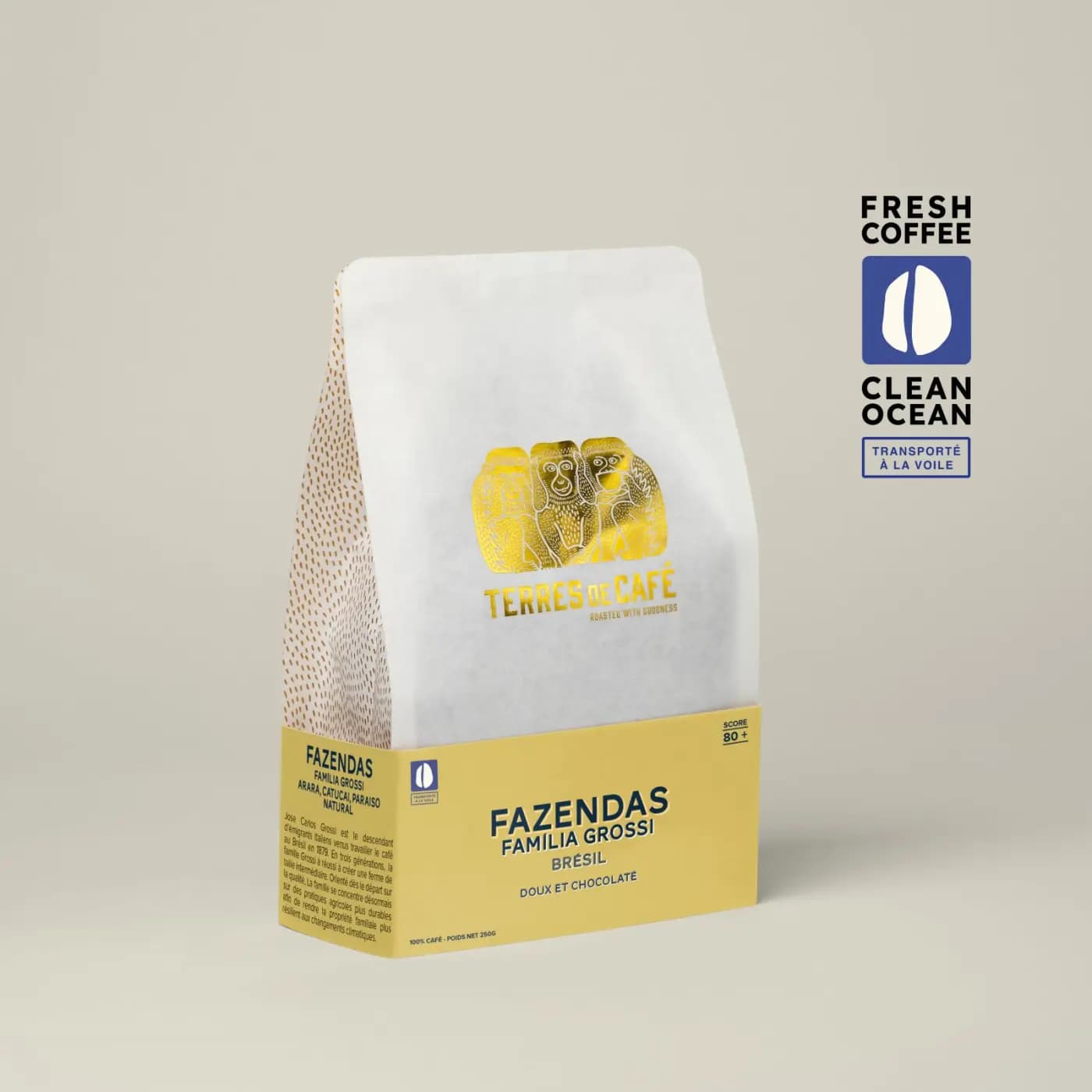 Coffee Fazendas