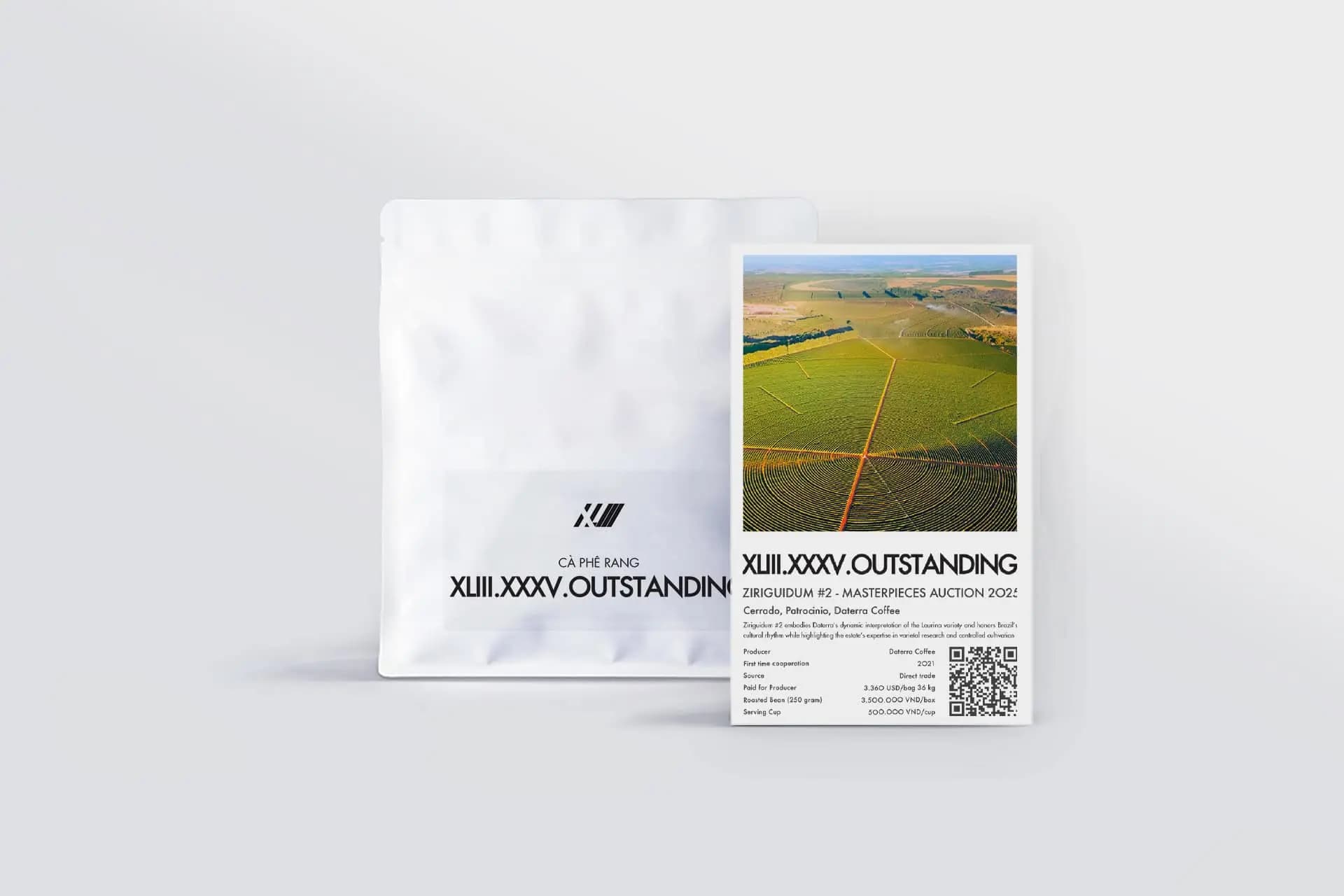 Ziriguidum #2 – Masterpieces Auction 2025