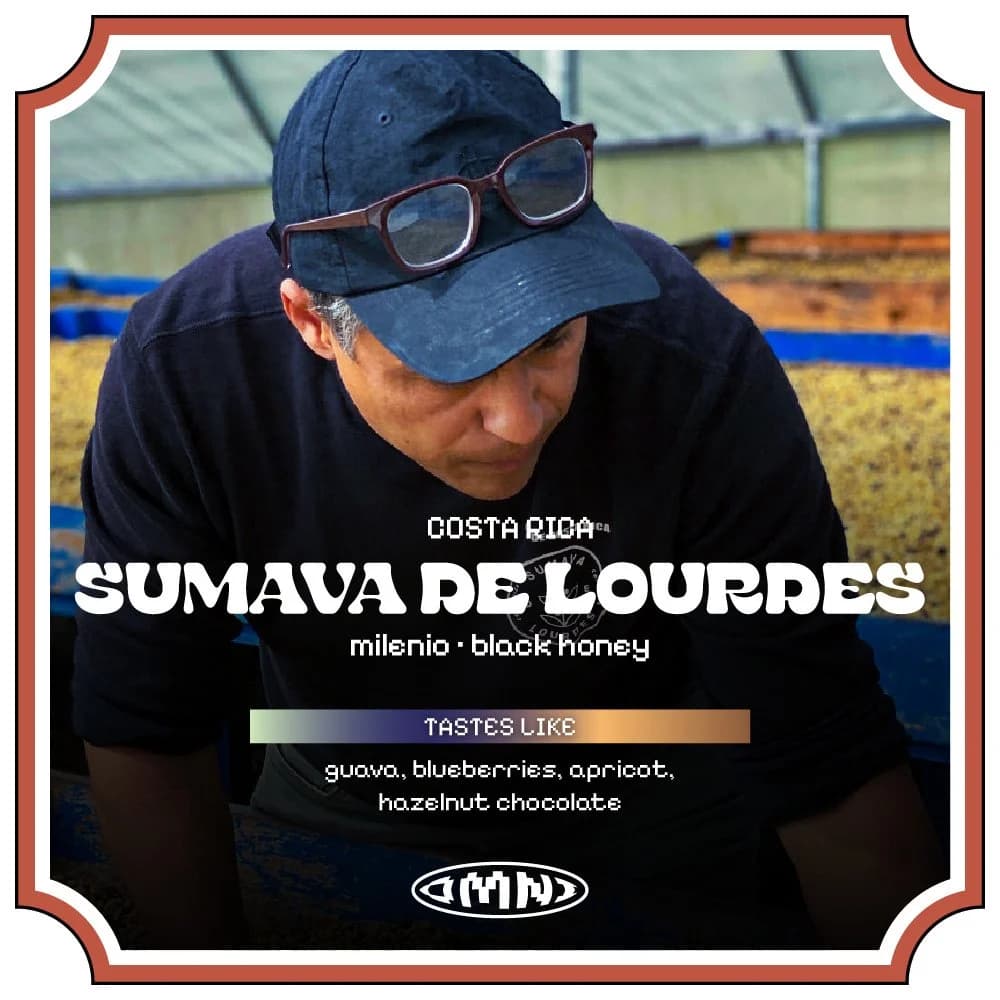 Sumava De Lourdes