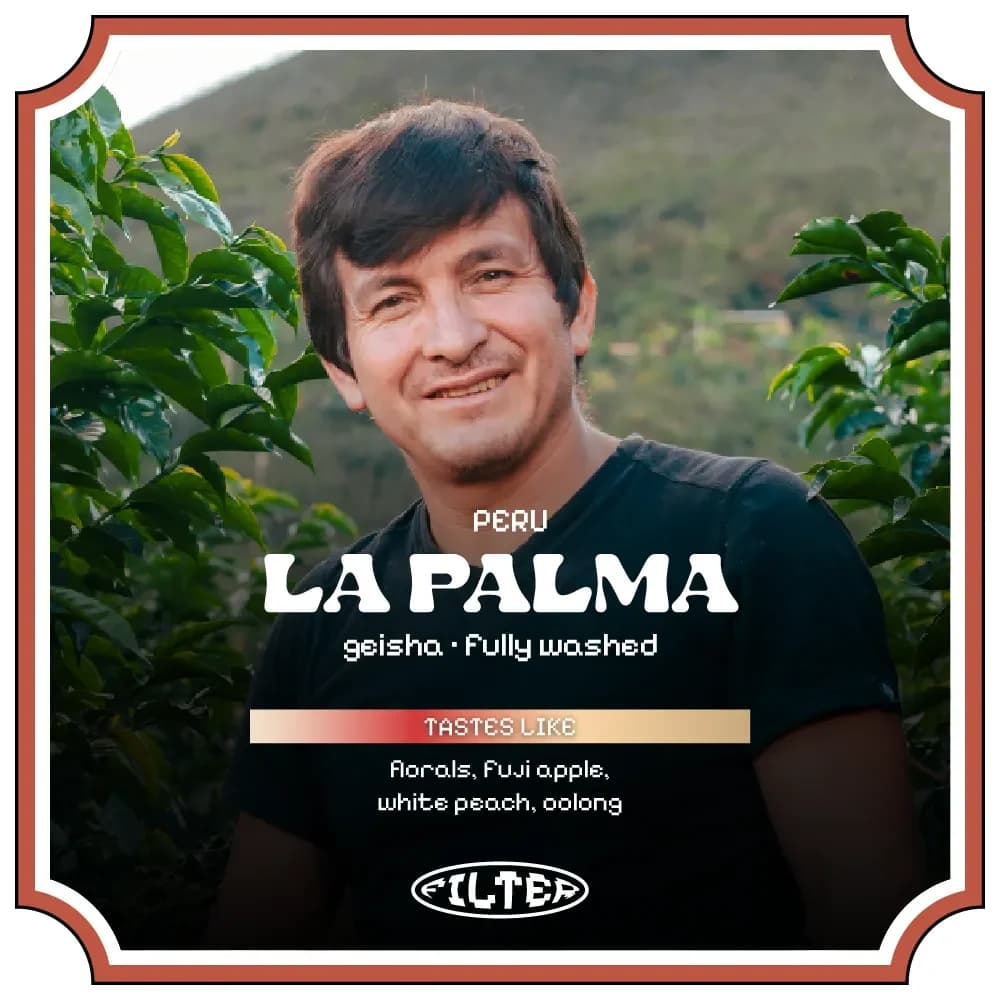(Last Roast) La Palma