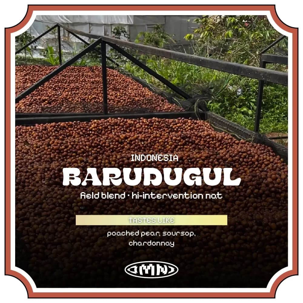 Barudugul #DRFN-P07.08