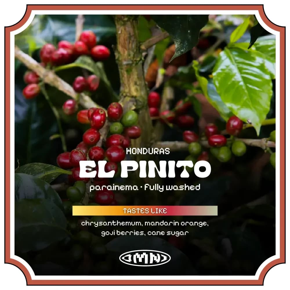El Pinito