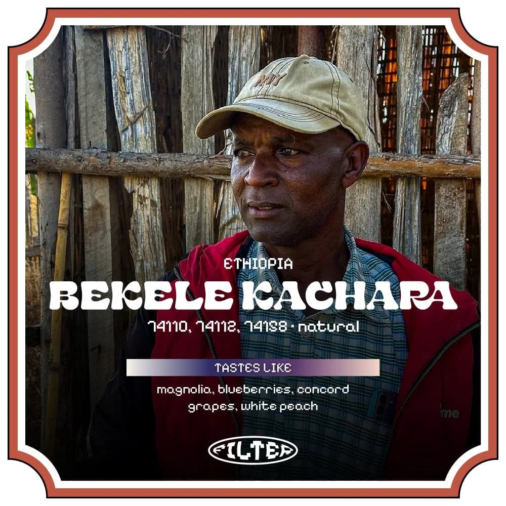 Bekele Kachara