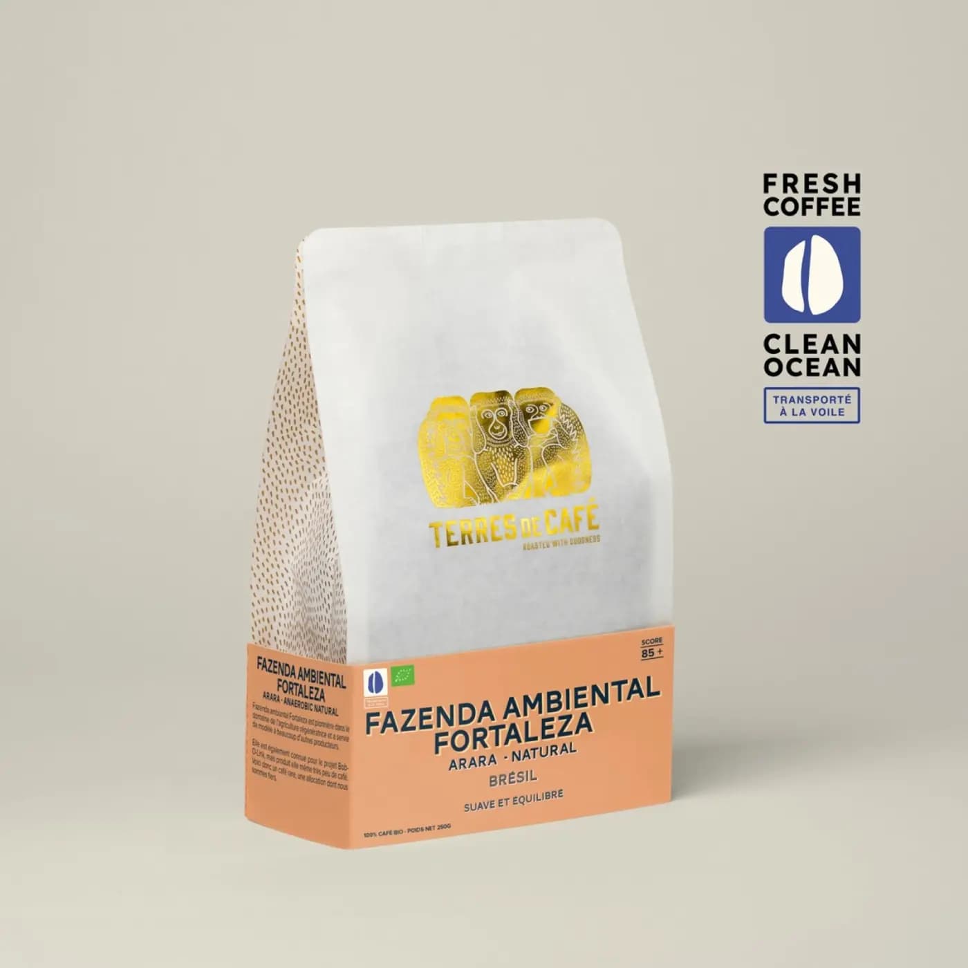 Coffee Fazendas Ambiental Fortaleza Arara - Natural