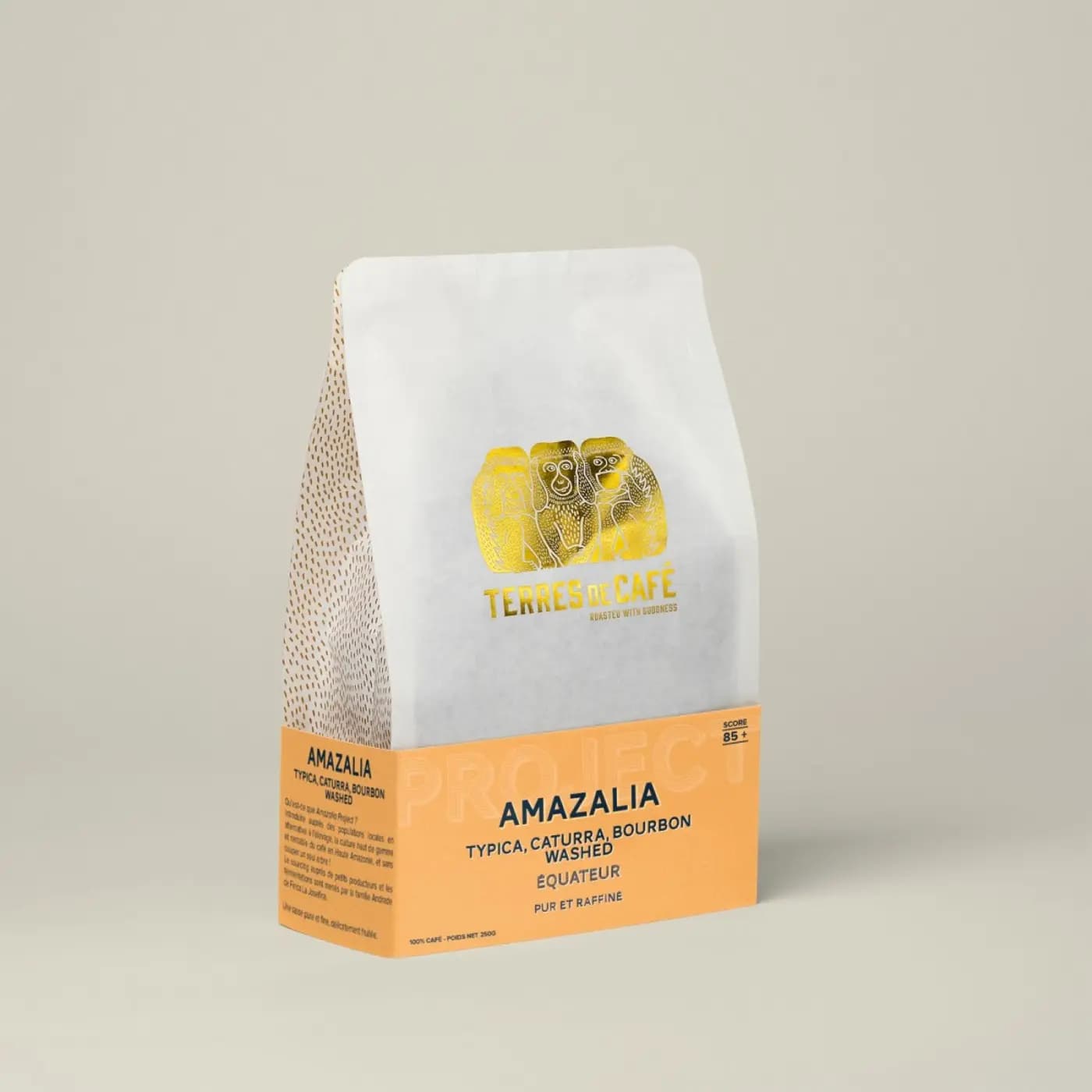 Coffee Amazalia